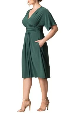 Plus Size A-Line Midi Dress with Pockets and Surplice Bodice 26 Plus Size A-Line Midi Dress with Pockets and Surplice Bodice -Dressbarn Store gia midi dress plus 491099