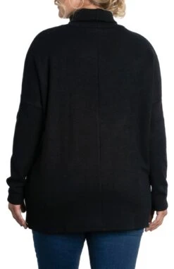 Plus Size Paris Turtleneck Tunic Sweater - Heavy Knit Longline Pullover -Dressbarn Store paris turtleneck tunic sweater plus 352827