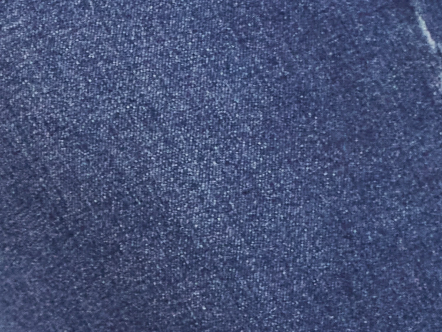 Westport Signature Skinny 5 Pocket Petite Denim Jeans 5 Westport Signature Skinny 5 Pocket Petite Denim Jeans - Image 5